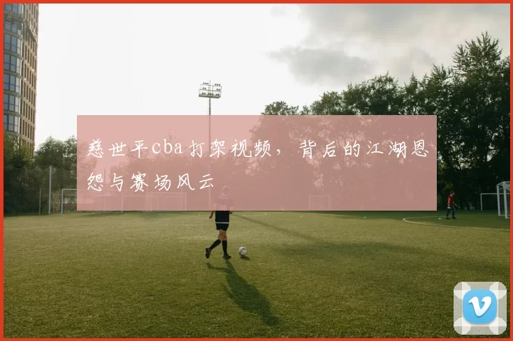 慈世平cba打架视频，背后的江湖恩怨与赛场风云