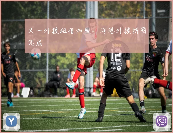 又一外援租借加盟，海港外援拼图完成