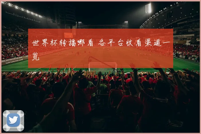 世界杯转播哪看 各平台收看渠道一览