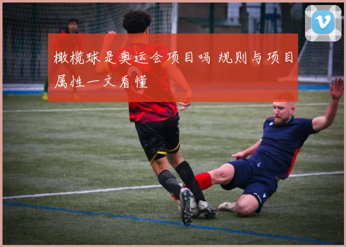 橄榄球是奥运会项目吗 规则与项目属性一文看懂